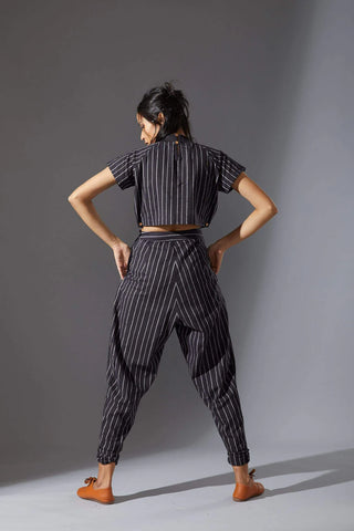 Wide Stripe Pleated Pants