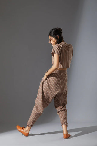 Wide Stripe Pleated Pants