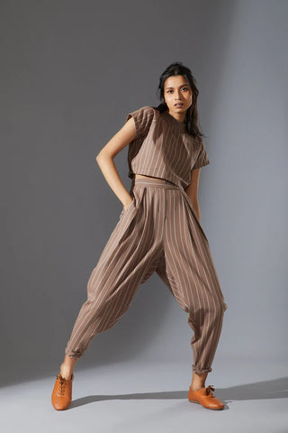 Wide Stripe Pleated Pants